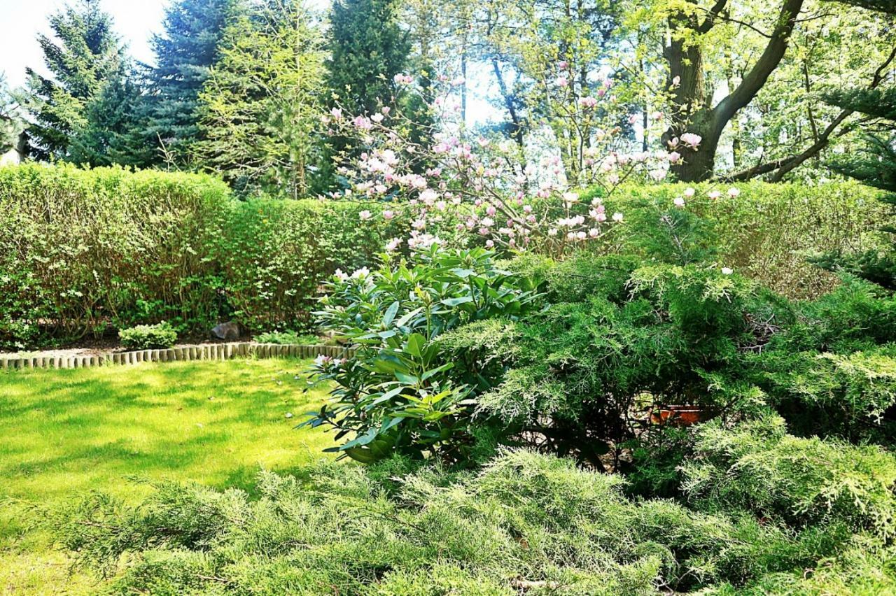 Zielone Pokoje Zielona Góra Exterior foto